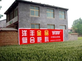 关岭如何让墙体广告展现最大化效果