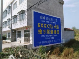 关岭墙体广告质量分析